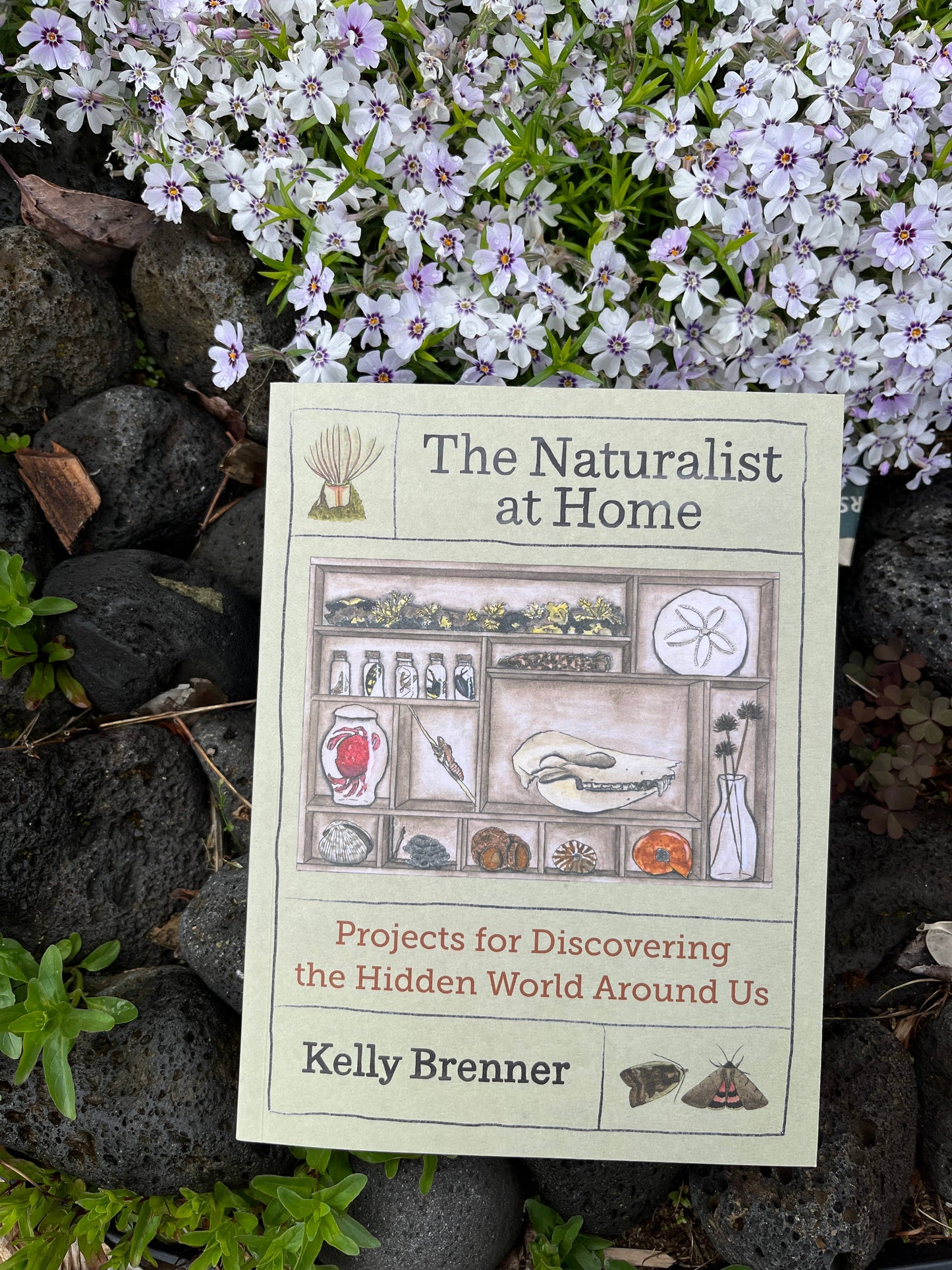 The Naturalist at Home